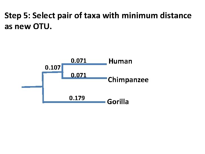 Step 5: Select pair of taxa with minimum distance as new OTU. 0. 107