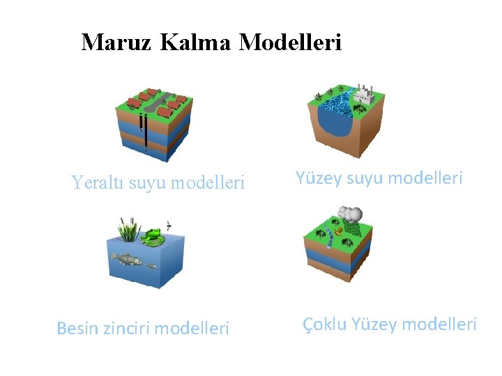 Maruz Kalma Modelleri Yeraltı suyu modelleri Besin zinciri modelleri Yüzey suyu modelleri Çoklu Yüzey