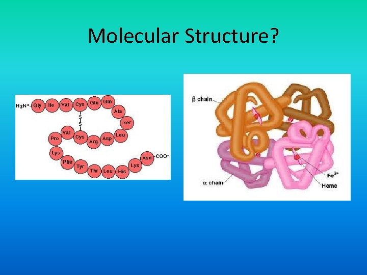 Molecular Structure? 