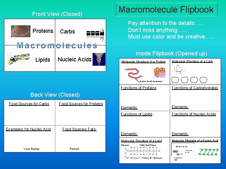 Front View (Closed) Proteins Lipids Carbs Nucleic Acids Macromolecule Flipbook Pay attention to the