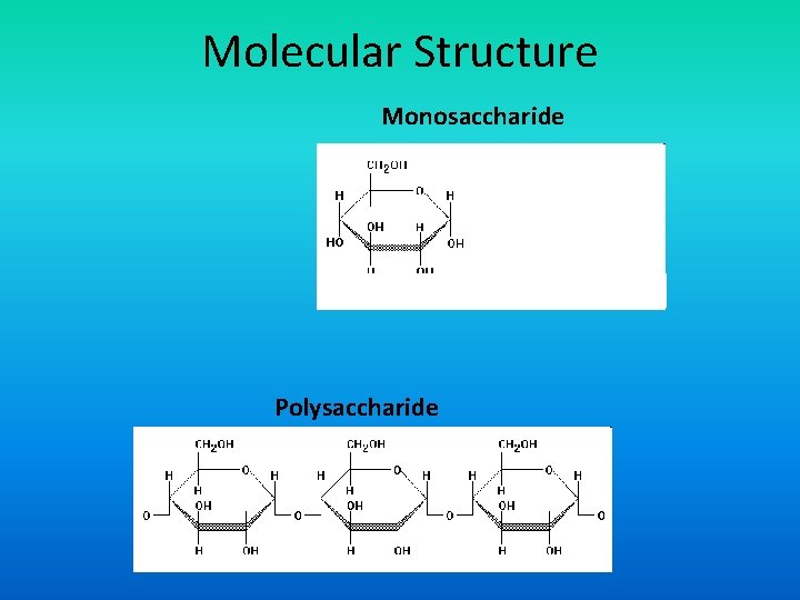 Molecular Structure Monosaccharide Polysaccharide 
