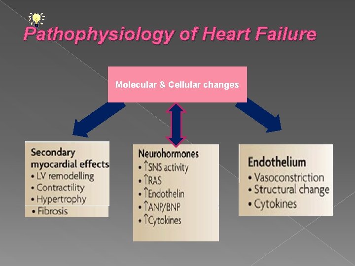 Pathophysiology of Heart Failure Molecular & Cellular changes 