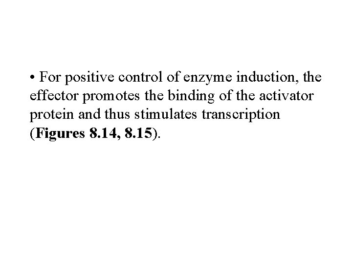  • For positive control of enzyme induction, the effector promotes the binding of