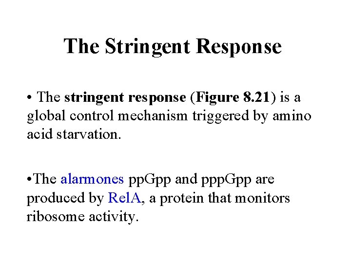 The Stringent Response • The stringent response (Figure 8. 21) is a global control
