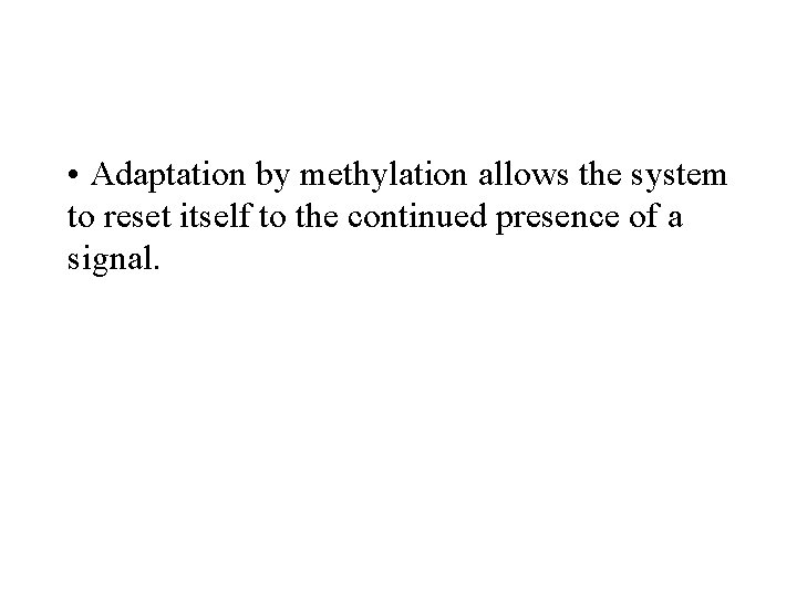  • Adaptation by methylation allows the system to reset itself to the continued