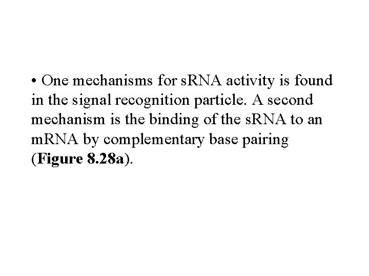  • One mechanisms for s. RNA activity is found in the signal recognition