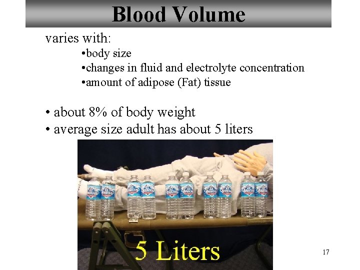 Blood Volume varies with: • body size • changes in fluid and electrolyte concentration