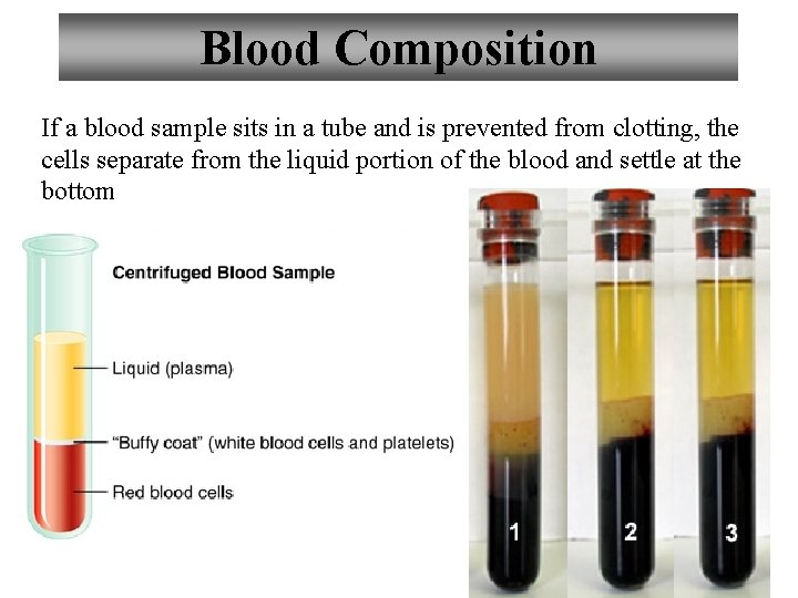 Blood Composition If a blood sample sits in a tube and is prevented from