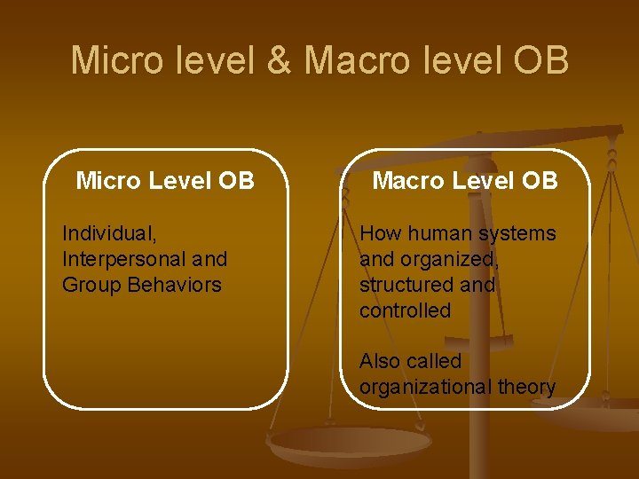 Micro level & Macro level OB Micro Level OB Individual, Interpersonal and Group Behaviors