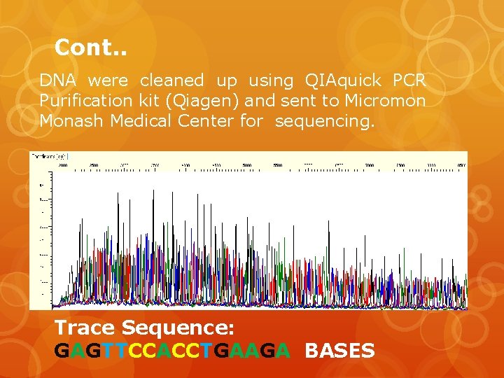 Cont. . DNA were cleaned up using QIAquick PCR Purification kit (Qiagen) and sent