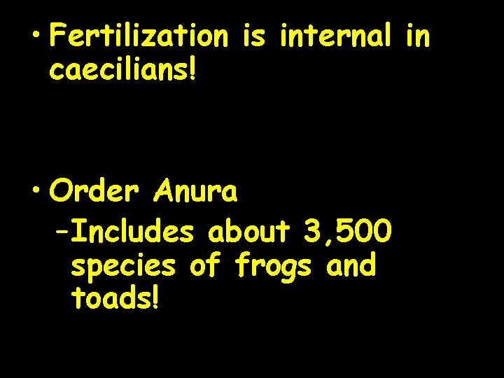  • Fertilization is internal in caecilians! • Order Anura – Includes about 3,