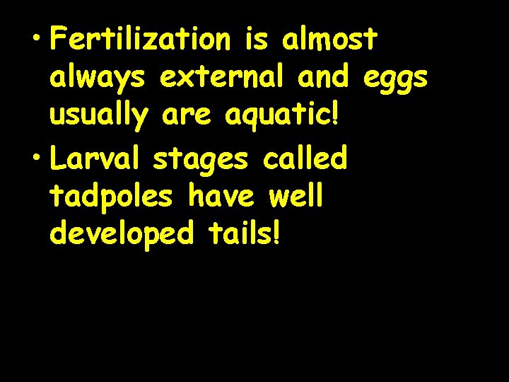  • Fertilization is almost always external and eggs usually are aquatic! • Larval