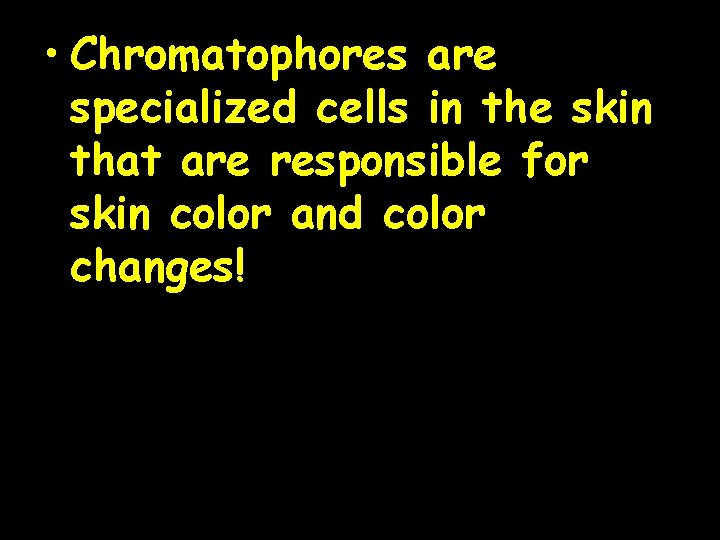  • Chromatophores are specialized cells in the skin that are responsible for skin