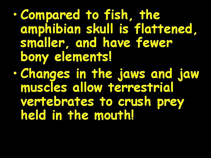  • Compared to fish, the amphibian skull is flattened, smaller, and have fewer