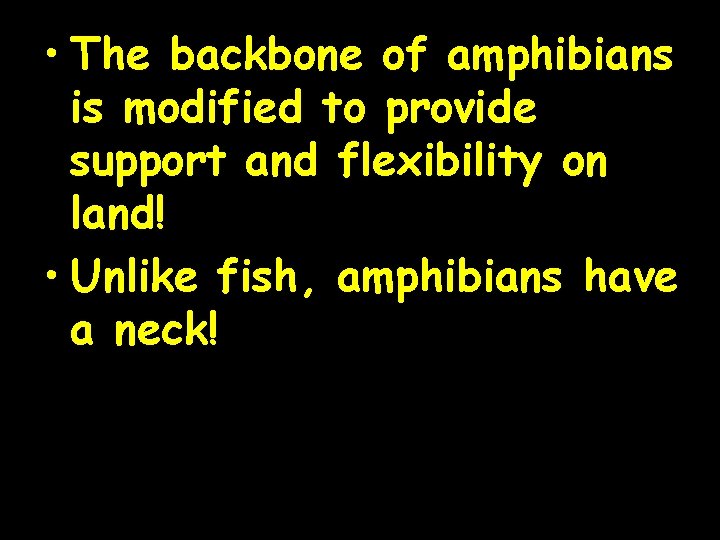  • The backbone of amphibians is modified to provide support and flexibility on