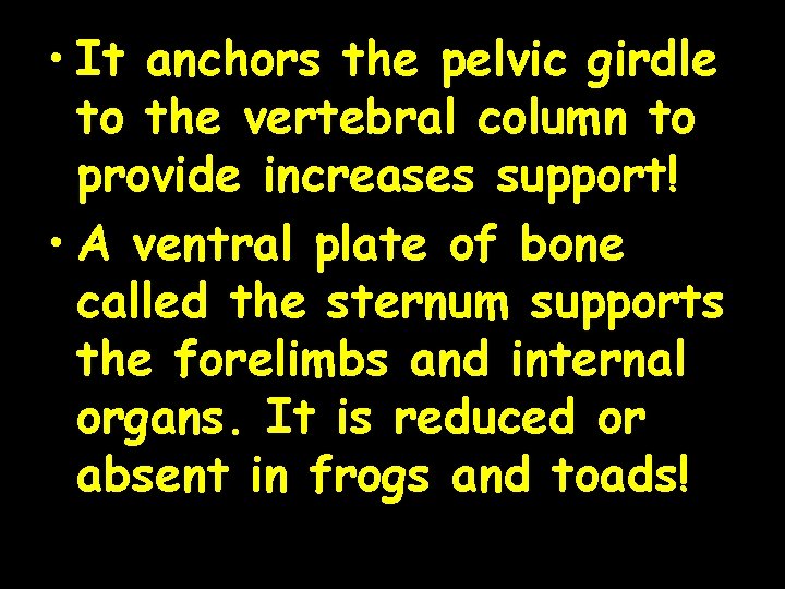  • It anchors the pelvic girdle to the vertebral column to provide increases