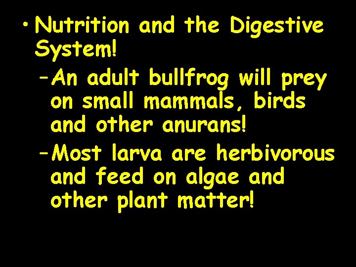  • Nutrition and the Digestive System! – An adult bullfrog will prey on