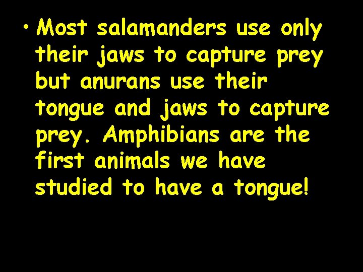  • Most salamanders use only their jaws to capture prey but anurans use
