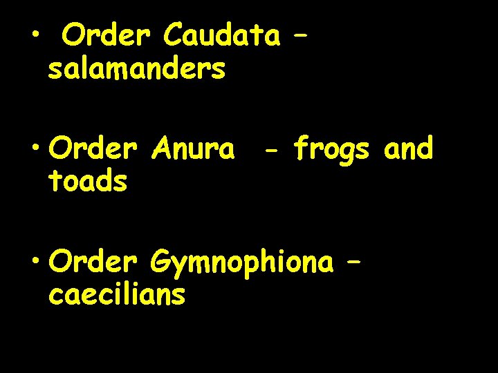  • Order Caudata – salamanders • Order Anura - frogs and toads •