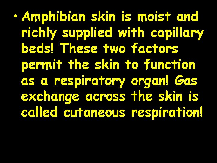  • Amphibian skin is moist and richly supplied with capillary beds! These two