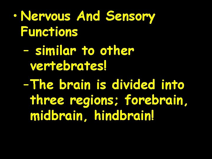  • Nervous And Sensory Functions – similar to other vertebrates! – The brain