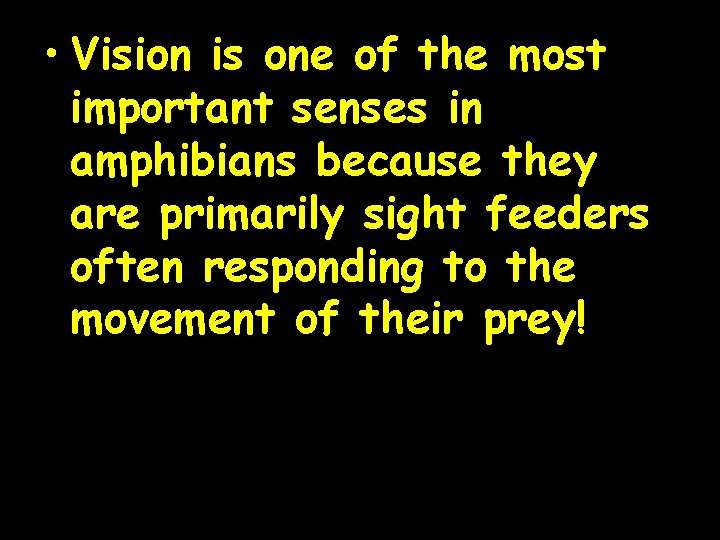  • Vision is one of the most important senses in amphibians because they