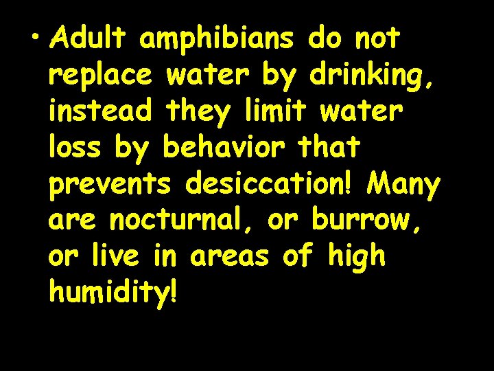  • Adult amphibians do not replace water by drinking, instead they limit water