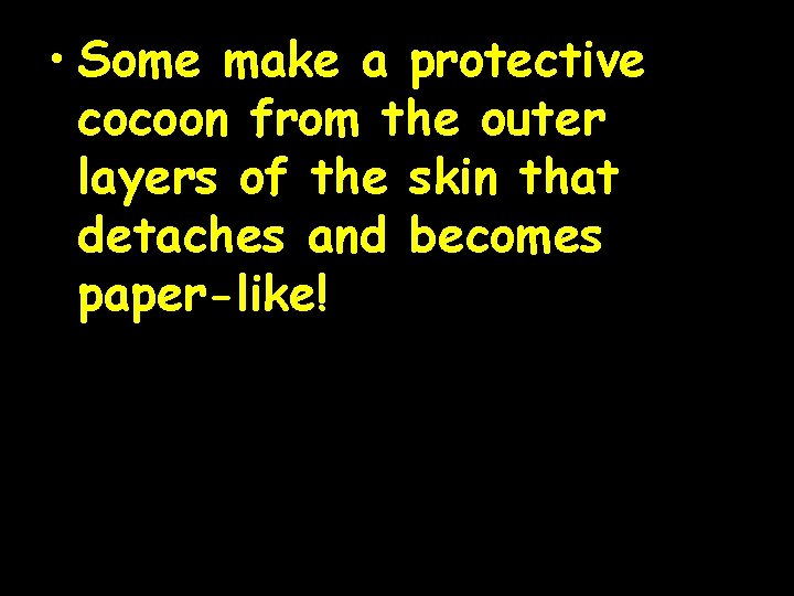  • Some make a protective cocoon from the outer layers of the skin