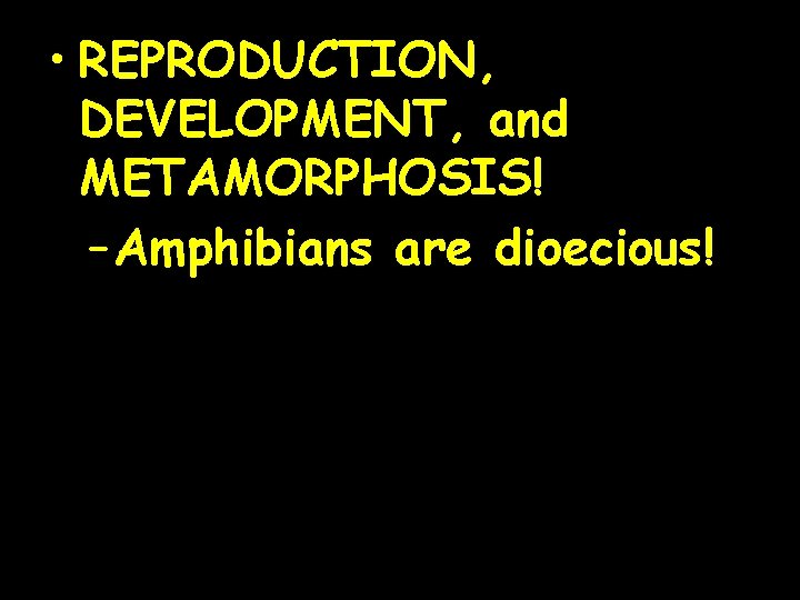  • REPRODUCTION, DEVELOPMENT, and METAMORPHOSIS! – Amphibians are dioecious! 