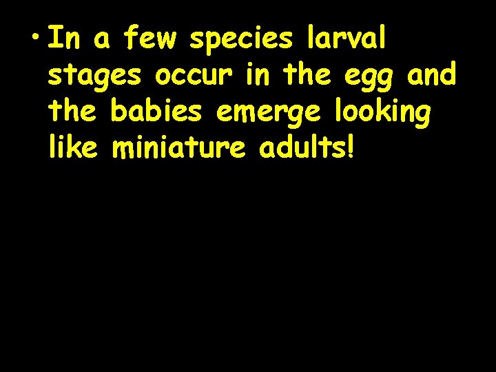  • In a few species larval stages occur in the egg and the