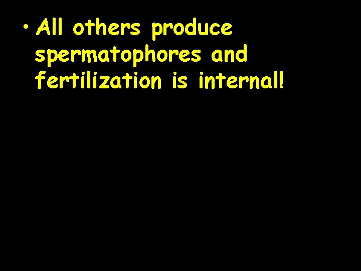  • All others produce spermatophores and fertilization is internal! 