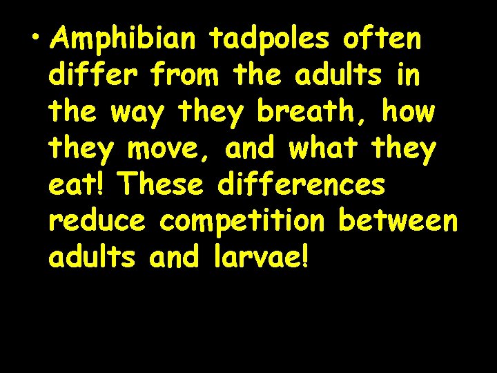  • Amphibian tadpoles often differ from the adults in the way they breath,