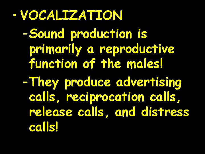  • VOCALIZATION – Sound production is primarily a reproductive function of the males!