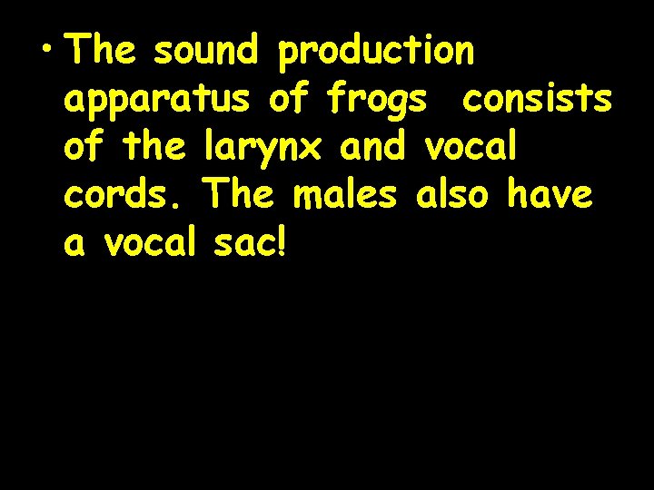 • The sound production apparatus of frogs consists of the larynx and vocal