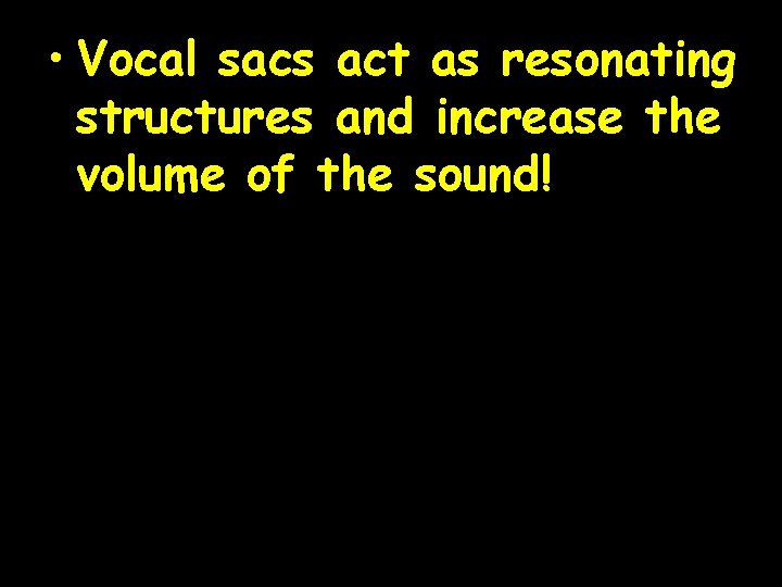  • Vocal sacs act as resonating structures and increase the volume of the