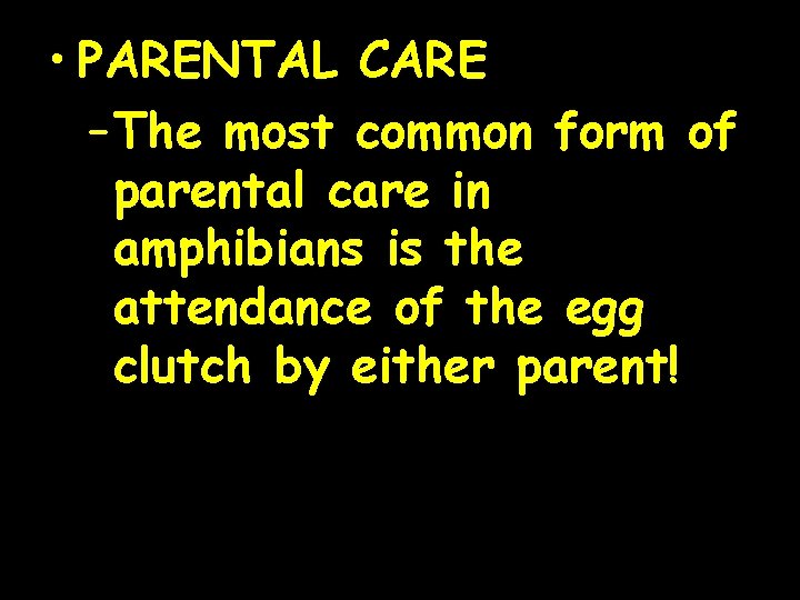  • PARENTAL CARE – The most common form of parental care in amphibians