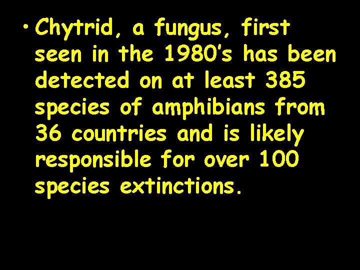  • Chytrid, a fungus, first seen in the 1980’s has been detected on