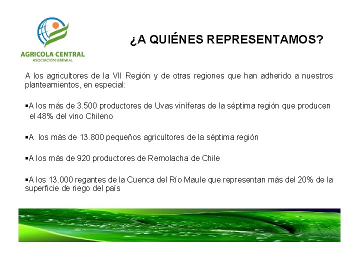 ¿A QUIÉNES REPRESENTAMOS? A los agricultores de la VII Región y de otras regiones