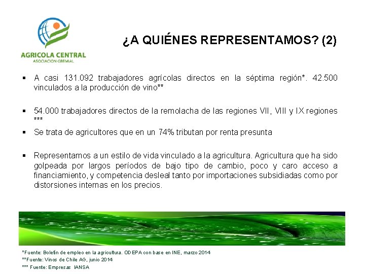 ¿A QUIÉNES REPRESENTAMOS? (2) § A casi 131. 092 trabajadores agrícolas directos en la