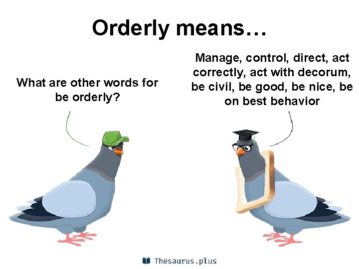 Orderly means… What are other words for be orderly? Manage, control, direct, act correctly,