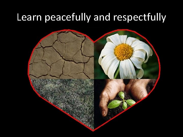Learn peacefully and respectfully 