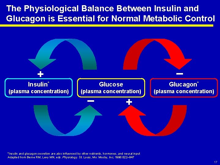 The Physiological Balance Between Insulin and Glucagon is Essential for Normal Metabolic Control –