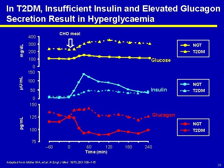 In T 2 DM, Insufficient Insulin and Elevated Glucagon Secretion Result in Hyperglycaemia CHO