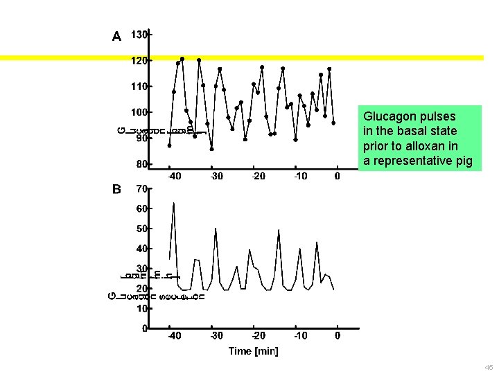 Glucagon pulses in the basal state prior to alloxan in a representative pig 45