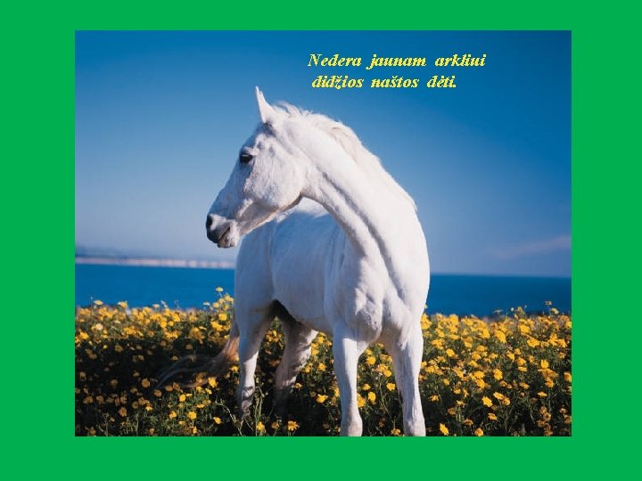 Nedera jaunam arkliui didžios naštos dėti. 