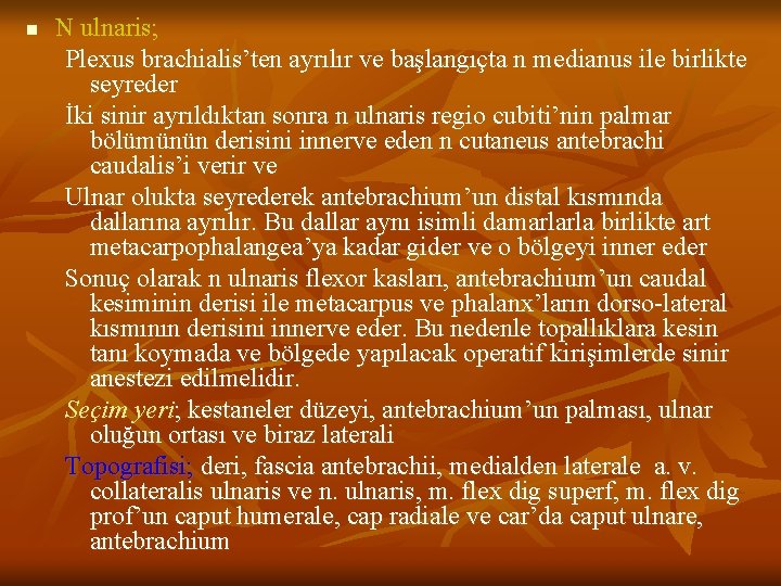 n N ulnaris; Plexus brachialis’ten ayrılır ve başlangıçta n medianus ile birlikte seyreder İki