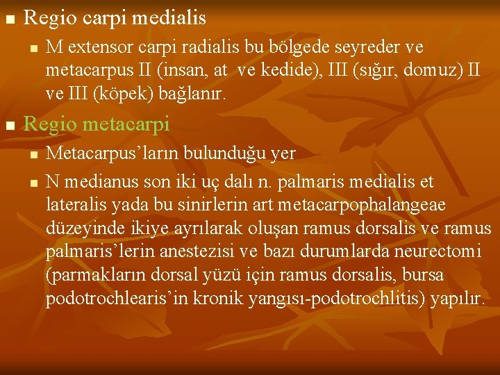 n Regio carpi medialis n n M extensor carpi radialis bu bölgede seyreder ve