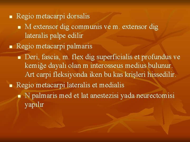 n n n Regio metacarpi dorsalis n M extensor dig communis ve m. extensor