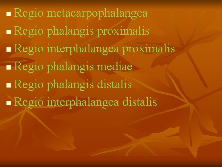 Regio metacarpophalangea n Regio phalangis proximalis n Regio interphalangea proximalis n Regio phalangis mediae