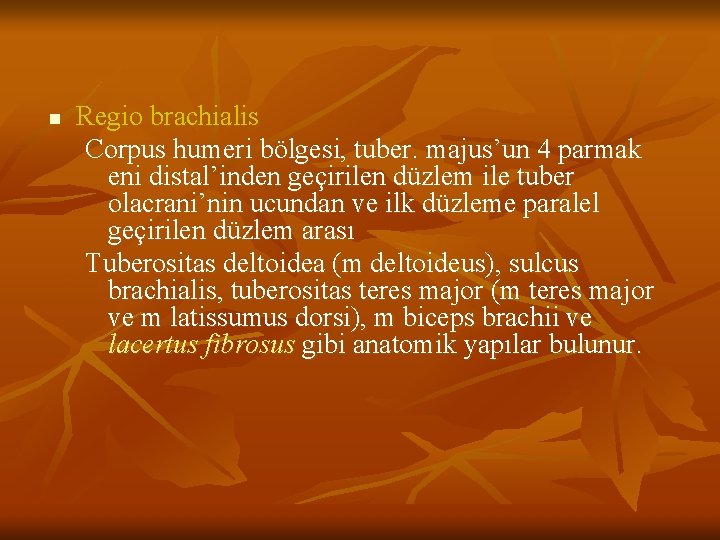 n Regio brachialis Corpus humeri bölgesi, tuber. majus’un 4 parmak eni distal’inden geçirilen düzlem